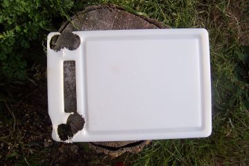 the donor chopping board