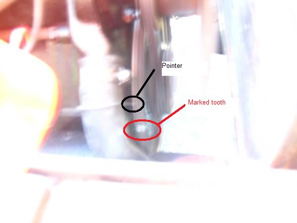 Checking the movement of the marked tooth